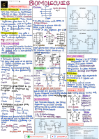 biomolecules 12th class 14th chapter.pdf